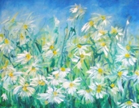 daisies